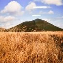 김영갑갤러리두모악미술관 이미지