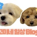 그루밍 아뜰리에 이미지