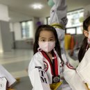 국가대표 탑 태권도장 이미지