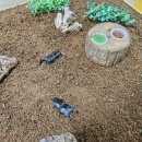 원주곤충마을박물관 이미지