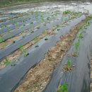 봉학농장 이미지