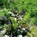 봉화공인중개사사무소 이미지