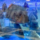 수산약국 이미지