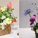 [2024. 상반기 퇴근학습길] 내 마음의 꽃 봄 이미지