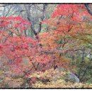 다산행정사사무소 이미지