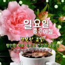 천*운
