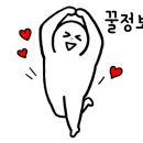 결벽증카케어 이미지