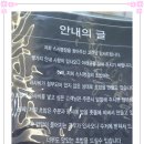 명장스시 이미지