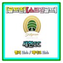 아일랜드 골프존 | 골프존 스크린골프 26년신규맵 인기맵 짧은맵 세현CC 밸리코스 레이크코스