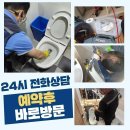 증평대교 앞 | 증평 싱크대막힘 전담매니저 증평읍 도안면 싱크리더싱크대막힘 무상재시공
