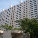 하단동115 이미지