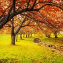 하늘빛 정신건강의학과 의원 이미지