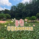 강아지 테마파크 | 강아지 산책하는 일상<홍천 무궁화테마파크>산책 후기｜강아지랑 걷기 좋은 홍천 나들이 명소