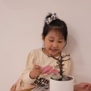 피예프음악학원 이미지