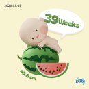 이김병원 | 임신,출산 일기 39주 | 탄탄이 탄생👼, 자연분만(초산) 2박3일 입원 후기