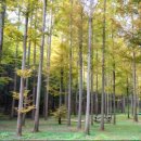 예주시장길 이미지