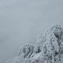 20240121 새해 6번째 산행 영남알프스 2차 가지산 운문산 눈꽃산행 이미지