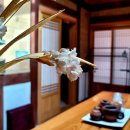 슬로우캠프 이미지