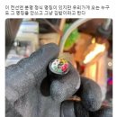 누네띠네 - 남구 군분로 69 | 누네띠네