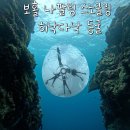 보홀 무제한 나팔링+히낙다낙동굴 프리다이빙 음식 맥주 제공 보자무싸 내돈내산