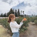예쁜걸 이미지