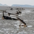 용유해변 이미지