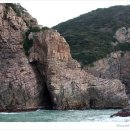 홍도반점