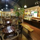 올드 트리 이미지