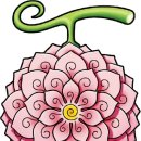 신체의 열매 이미지