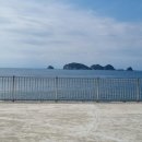 여울애견펜션 이미지