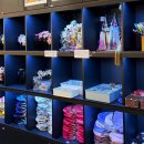 인생샷 건지는 경복궁 한복대여점 원데이한복 후기