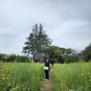 천일민박 이미지