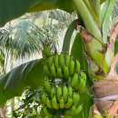 (주)포항정비 | [포항 가볼만한 곳] 환호공원 스페이스워크 후기｜주차·운영시간·실내식물원 솔직후기