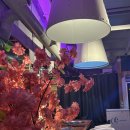 성주막창 | 대구 막창 맛집 찾는다면? 성주막창 솔직 후기