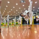 태권도장 이미지