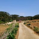 봉산2리경로당 이미지