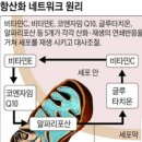 오피시 이미지