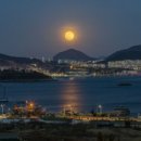 장수안포로 이미지