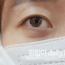 도나래쉬프로