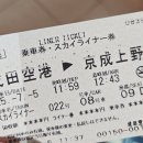 1박3일 일본. 도쿄여행 [2025. 7/5~7/7]