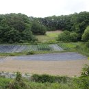 상주농장 이미지