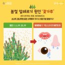 꽃,가루