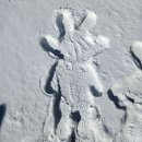 지에스(GS)25춘천구봉산 이미지