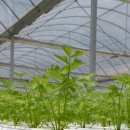 수경수산 이미지