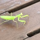 투앤디 썰매수영장 이미지