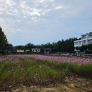 경북 서부1리 경북일보