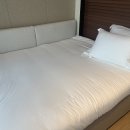 신라모노그램 강릉 레지던스 이미지