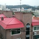 성심칼라 이미지