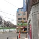 뽀송 애견미용 | 부평애견미용 위생목욕후기! | 몽개구름십정점 | 십정애견미용