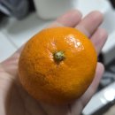 수민다방